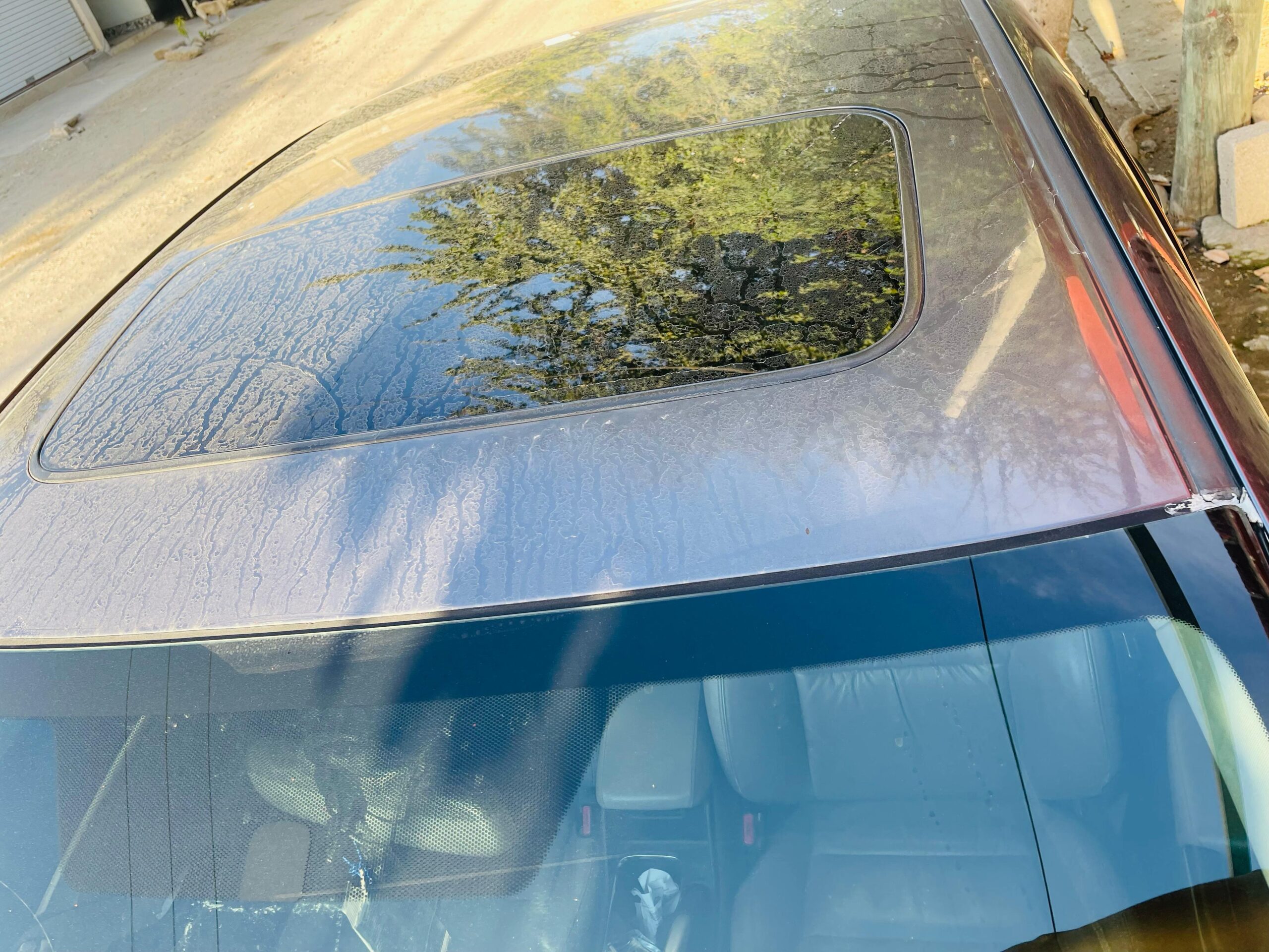 
								Honda civic 2015 EXL Navy full									